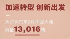 2月新销量纪录，豪华燃油车越畅销，新能源越难卖