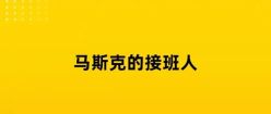马斯克的接班人，是个中国包工头？