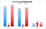 2023年上半年中国乘用车市场总结