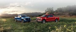 福特高管：F-150或成为美国最畅销混动车型