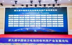 示范引领 打造标杆丨派勒循环万吨废旧锂电池回收标准线迎来百人观摩团