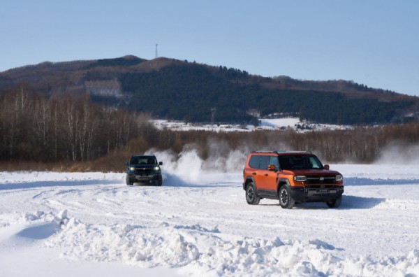 1769648697755948.jpg 3.jpg