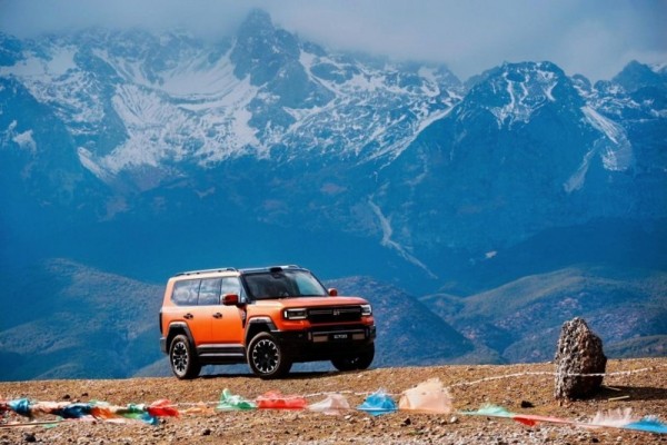 1774581026634342.jpg 2.jpg