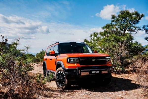 1774581034829741.jpg 3.jpg